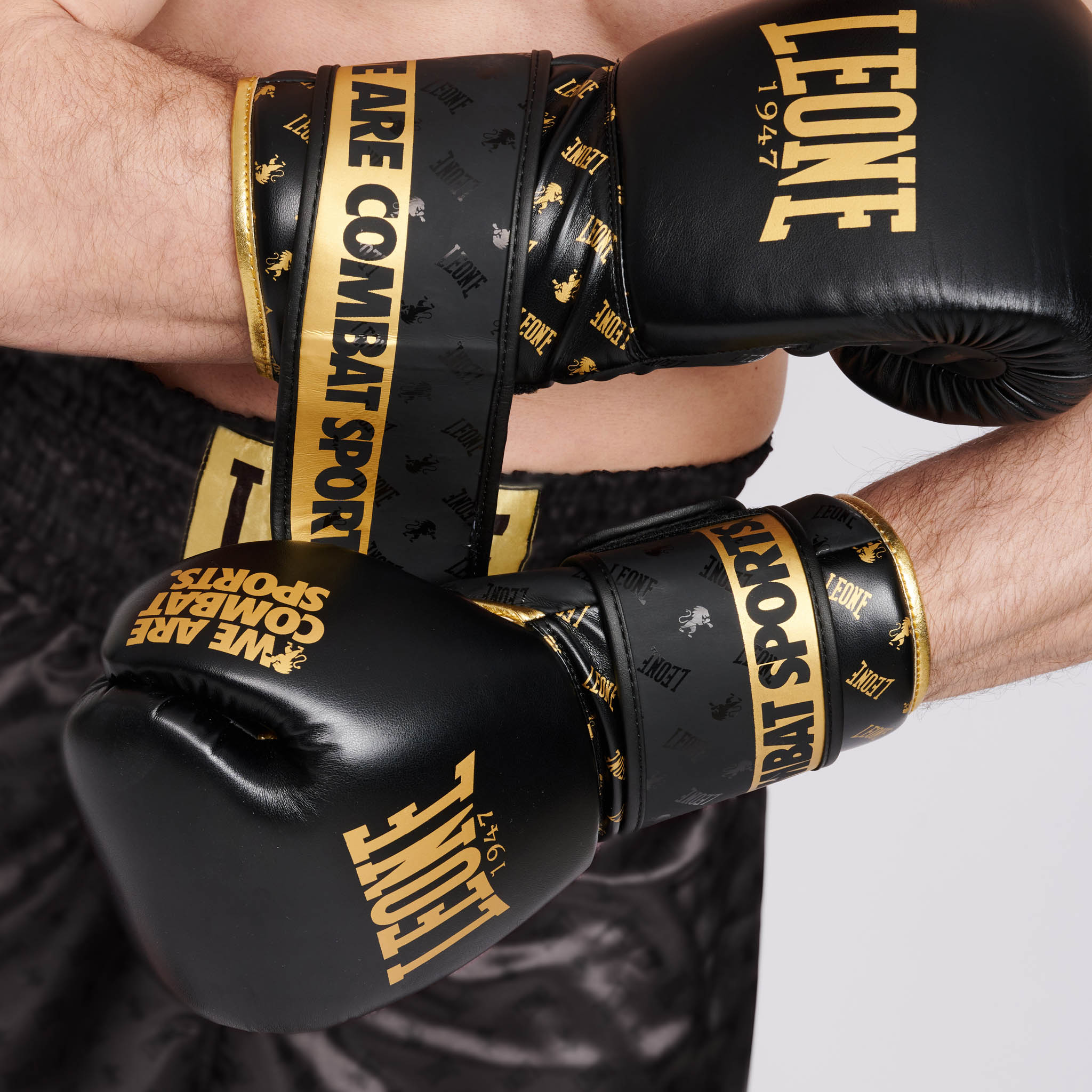 guantes de boxeo Ambassador LEONE