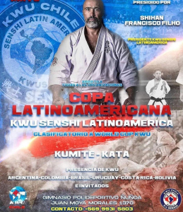 latinoamericano de karate de contacto chile